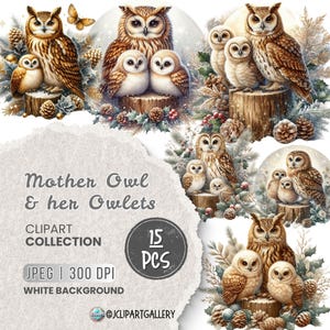 May include: A digital clipart collection of 15 images featuring mother owls and their owlets. The owls are brown and white with large, round eyes. They are perched on tree stumps in a snowy forest setting. The images are perfect for crafting projects, scrapbooking, and digital design.