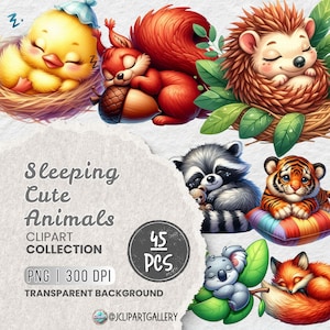Aquarel slaperige dieren clipart png bundel, schattige dieren clipart, kinderkamer kunst aan de muur, decor babyshower, kaarten maken, junk Journal