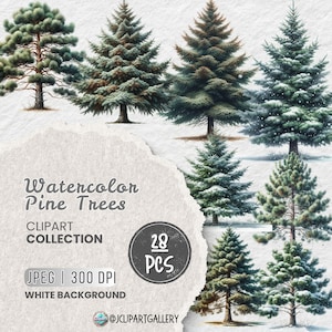Imágenes prediseñadas de árboles forestales en acuarela, pinos JPG, bosque de pinos, árboles forestales, árboles individuales, creación de tarjetas, diario basura, sublimación