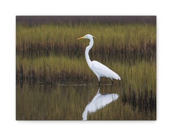 Reiher Reflection Canvas Print | Stille Natur Kunst