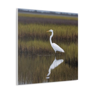 Egret Wall Print with Egret Bird Canvas Print with Green Birds Nature Decor Hallway Bedroom Bathroom Print Gift for Egret Bird Lover