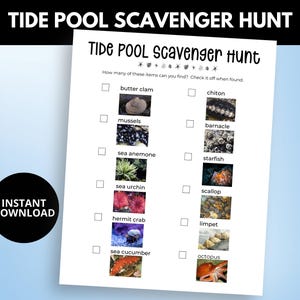 Op de afbeelding: Een printbare checklist voor een getijdenpoel-speurtocht met afbeeldingen van verschillende zeedieren, waaronder een botermossel, mosselen, chitons, zeepokken, zeeanemonen, zeesterren, zee-egels, schelpdieren, heremietkrabben, limpets, zeekomkommers en octopussen.