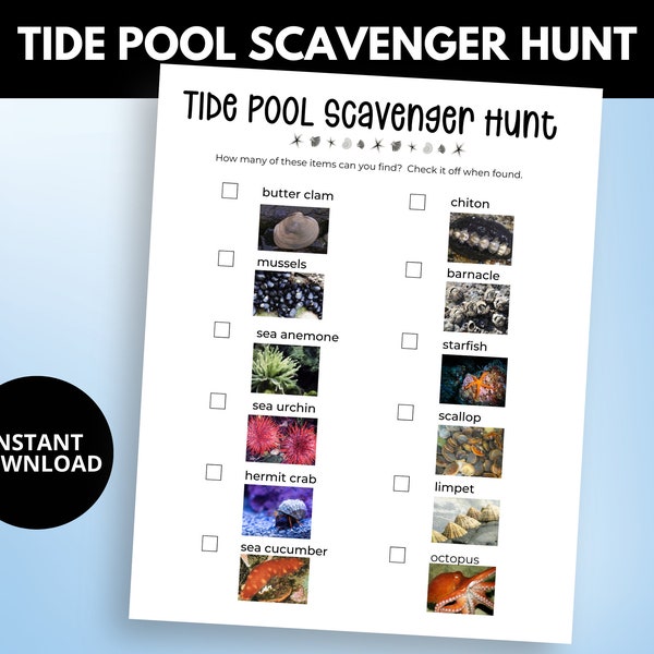 Tide Pool Scavenger Hunt Sea Shell Scavenger Hunt for Kids Beach Activity Travel Kids Games classroom sea week field trip Instant Download