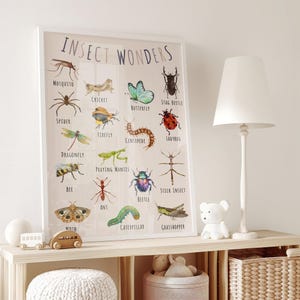 Educational Bugs Poster, Insects Poster, Nature Classroom Decor, Homeschool Learning, Montessori Materials, Homeschool Art, DIGITAL DOWNLOAD