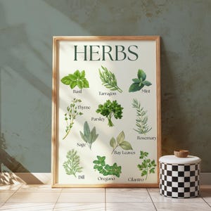 Soorten kruiden print, kruidengids, keuken wanddecoratie, cottage kern kunst aan de muur, kruidenkaart, kookkruiden afdrukbaar, cadeau voor haar hem kok