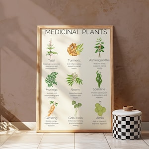 Affiche de plantes médicinales | 9 super herbes médicinales pour le bien-être | Art mural botanique | Tableau des remèdes naturels | Guide des plantes médicinales imprimable