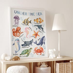 Póster de animales del océano, materiales Montessori, carteles educativos Montessori, decoración de pared para guardería, decoración de sala de juegos, preescolar, DESCARGA DIGITAL