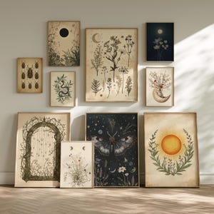 May include: A selection of framed art prints with botanical and celestial themes. The prints depict insects, plants, moons, suns, and a moth, in a vintage style with neutral tones. The frames are light brown, and the prints are displayed on a white wall.