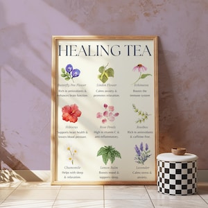 Kräutertee Vorteile Dekoratives Poster | Boho Wandbild mit beliebten Kräutertees und ihren Nutzen für die Gesundheit | Perfekt für Küche Dekor Geschenkidee
