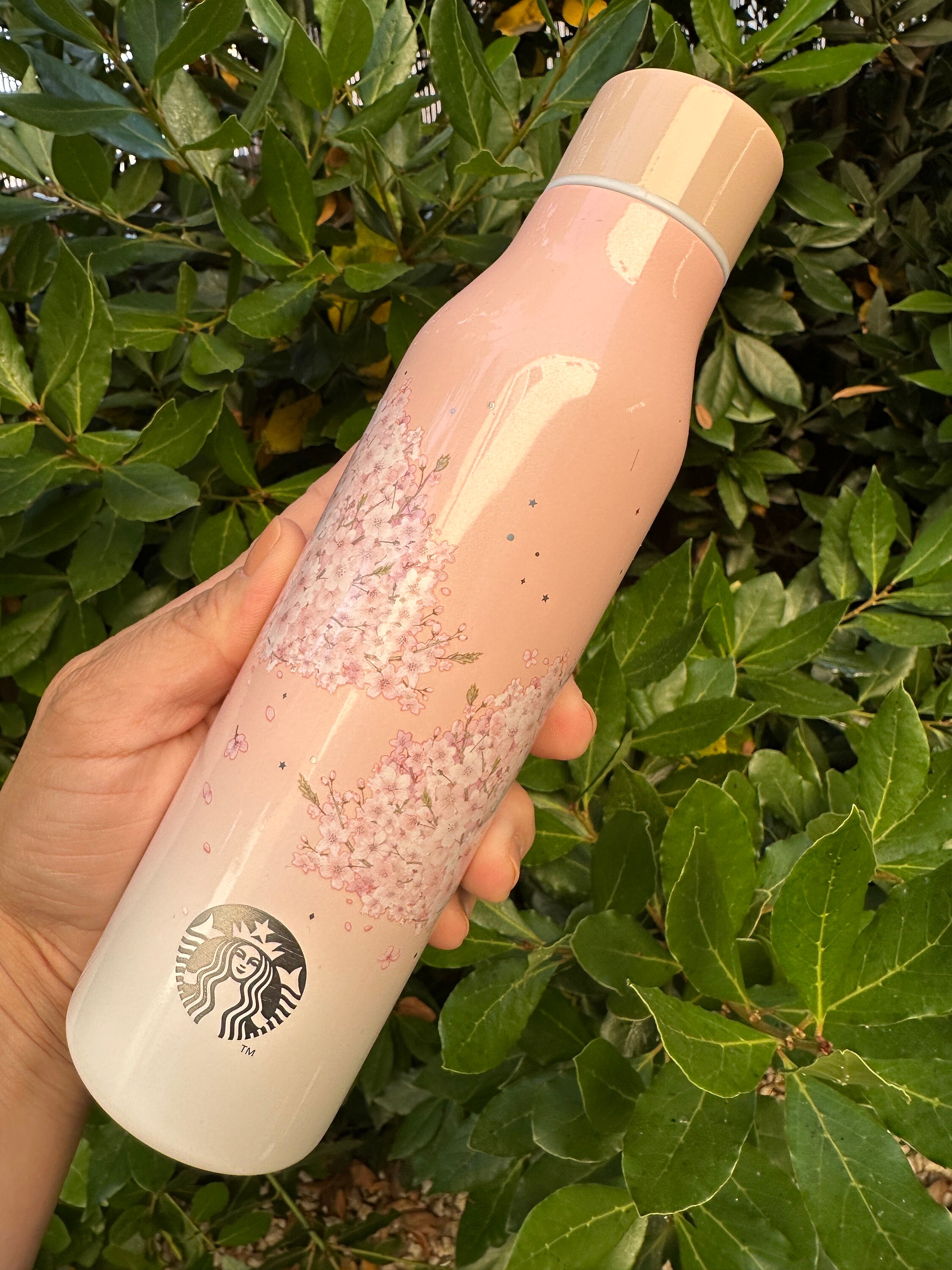 Starbucks Strawberry Straw Cup w/ Sakura Topper Water Bottle Limited  Edition