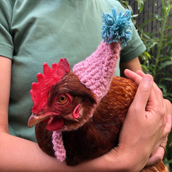 Chapeau de Poule | Chicken Hat