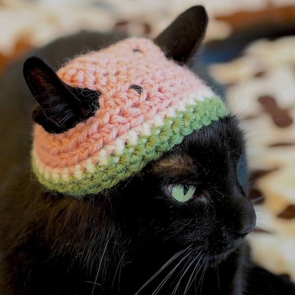 Chapeau Chat Melon d'Eau | Watermelon Cat Hat