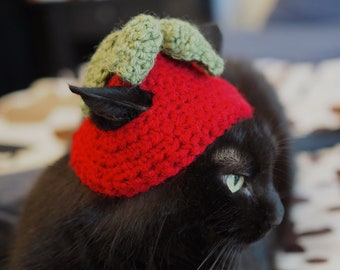 Chapeau Chat Radis | Radish Cat Hat