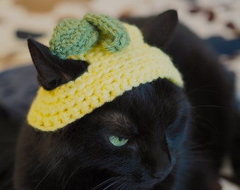 Chapeau Chat Citron | Lemon Cat Hat