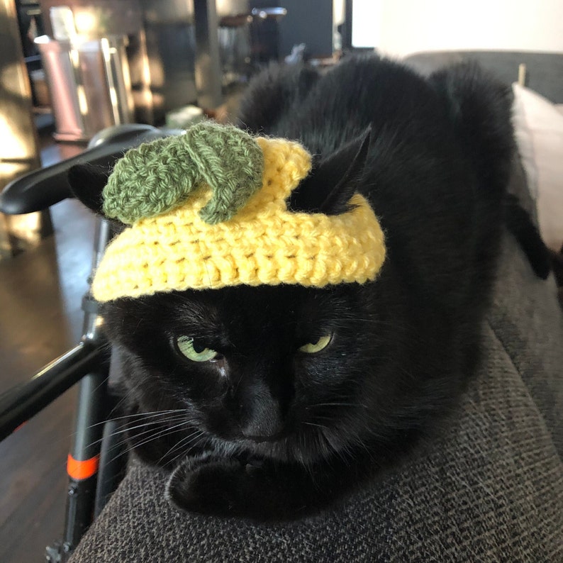 Chapeau Chat Citron Lemon Cat Hat image 3