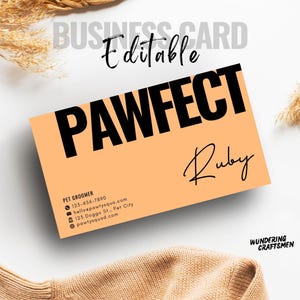 Modern Pet Groomer Namecard Pet Boarding Business Card Template Professional Pet Stylist Business Card Minimalist Pet Grooming Branding Kit