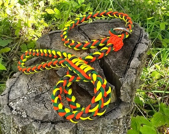 Paracord Dog Slip Leash - Dog Agility Supplies - Braided Pet Lead with Metal Ring
