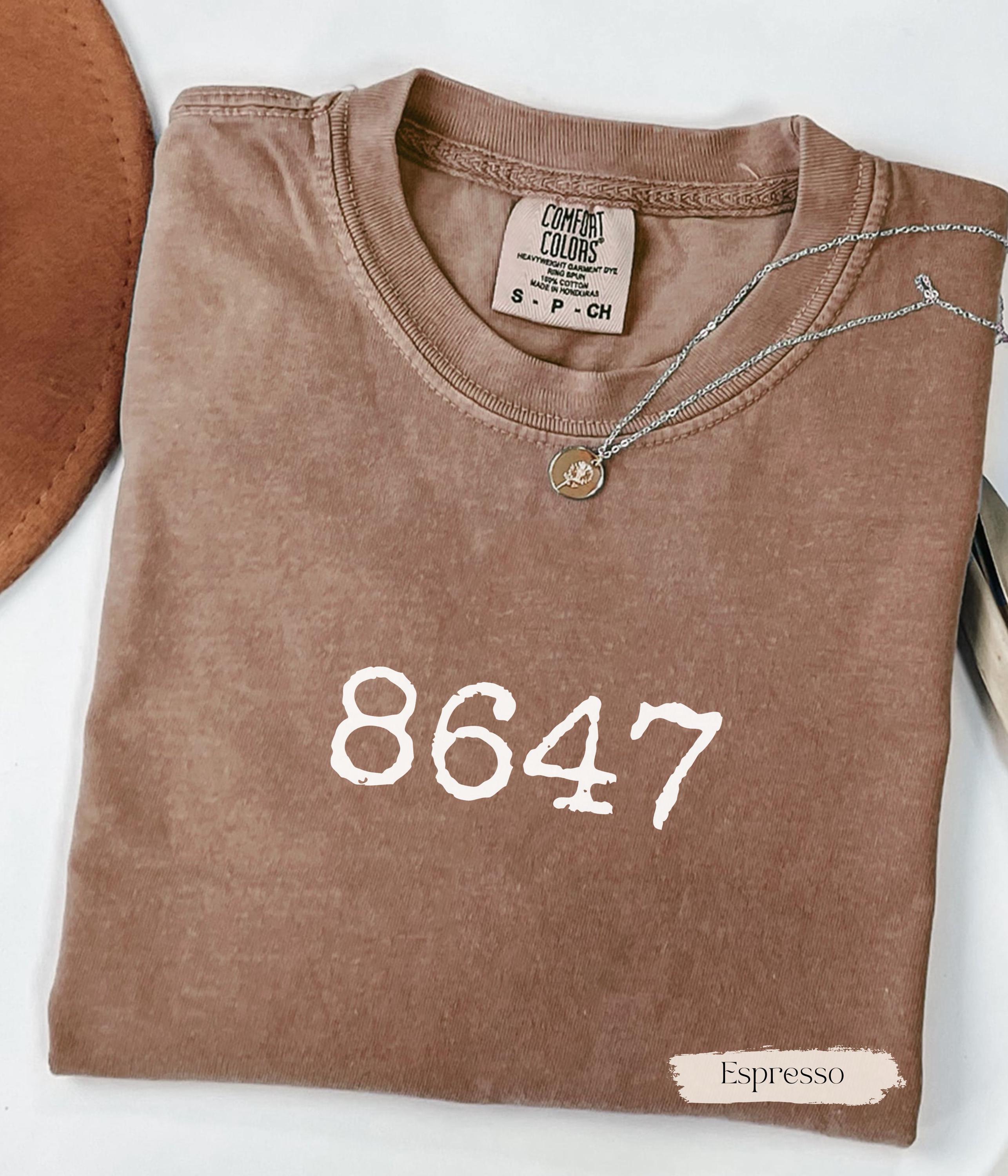8647 Anti-Trump Shirt, Subtle Protest Tee, Democrat Liberal Shirt, Anti MAGA, Pro Immigration, Feminist Leftist Shirt, Rainbow Shirt