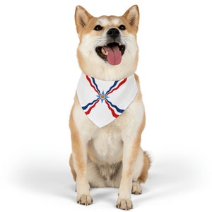 Assyrian Flag | Pet Bandana Collar
