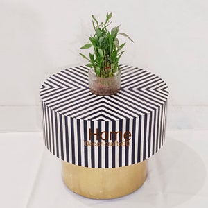 May include: Black and white striped round side table with a gold base. A small potted plant sits on top of the table.