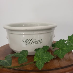 Peut inclure: Pot en céramique blanche avec le mot "Celéret" écrit en lettres noires. Le pot est posé sur un tabouret en bois avec des feuilles de lierre vertes.