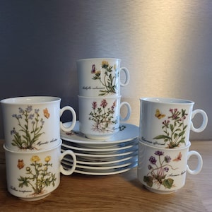 Puede incluir: Juego de seis tazas de café de cerámica blanca con diseños florales y nombres botánicos. Las tazas están apiladas en pares y tienen platillos a juego.