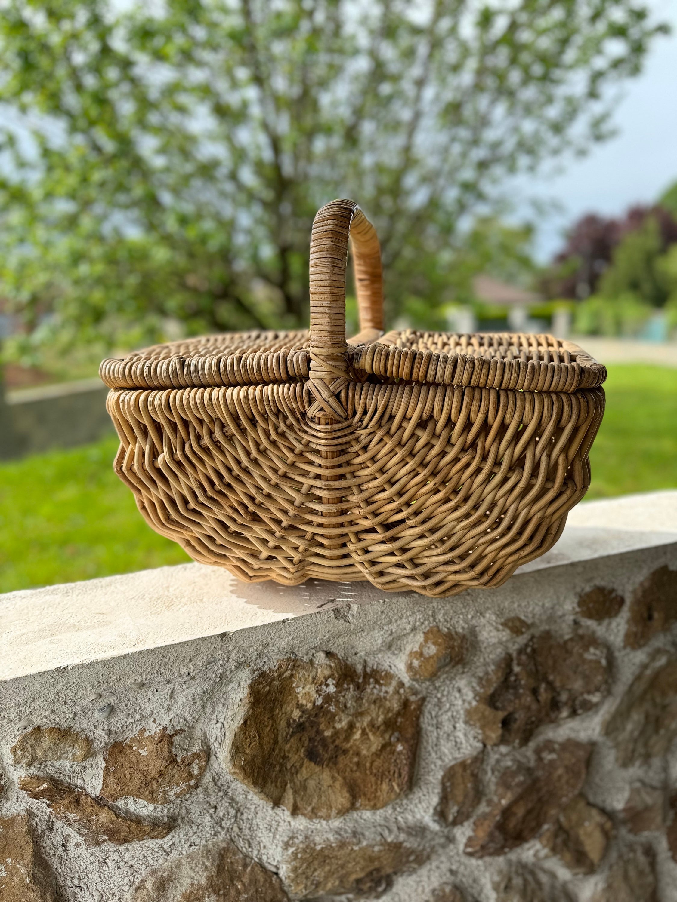 美品　Vintage picnic basket Amazon.com : PICNIC TIME - Country Vintage Picnic Basket