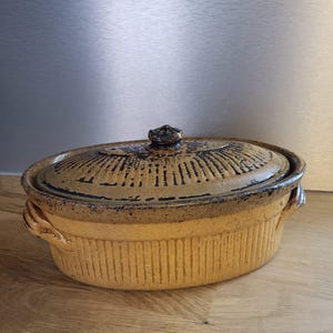 Old terracotta terrine