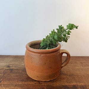 Pode incluir: Um vaso de terracota cilíndrico e rústico com uma única alça lateral e uma borda espessa e arredondada. A superfície externa é de um tom castanho-alaranjado quente e terroso com uma textura subtil. Um ramo de folhagem verde está no vaso.