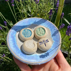 May include: A small, round, blue-glazed ceramic dish holds four small, off-white ceramic stones. Each stone features a raised design: a turtle, a sea creature, a nautilus shell, and a dragonfly. The dish is held in front of a background of lavender.