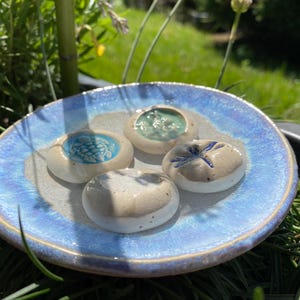 May include: A ceramic dish with a blue and white glaze holds four small, round, decorative ceramic pieces. Each piece has a unique design: a turtle, a textured pattern, a dragonfly, and a simple design. The dish is outdoors in the sunlight.