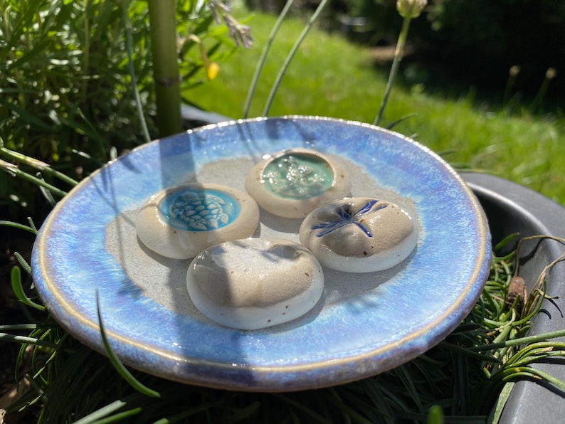 May include: A ceramic dish with a blue and white glaze holds four small, round, decorative ceramic pieces. Each piece has a unique design: a turtle, a textured pattern, a dragonfly, and a simple design. The dish is outdoors in the sunlight.