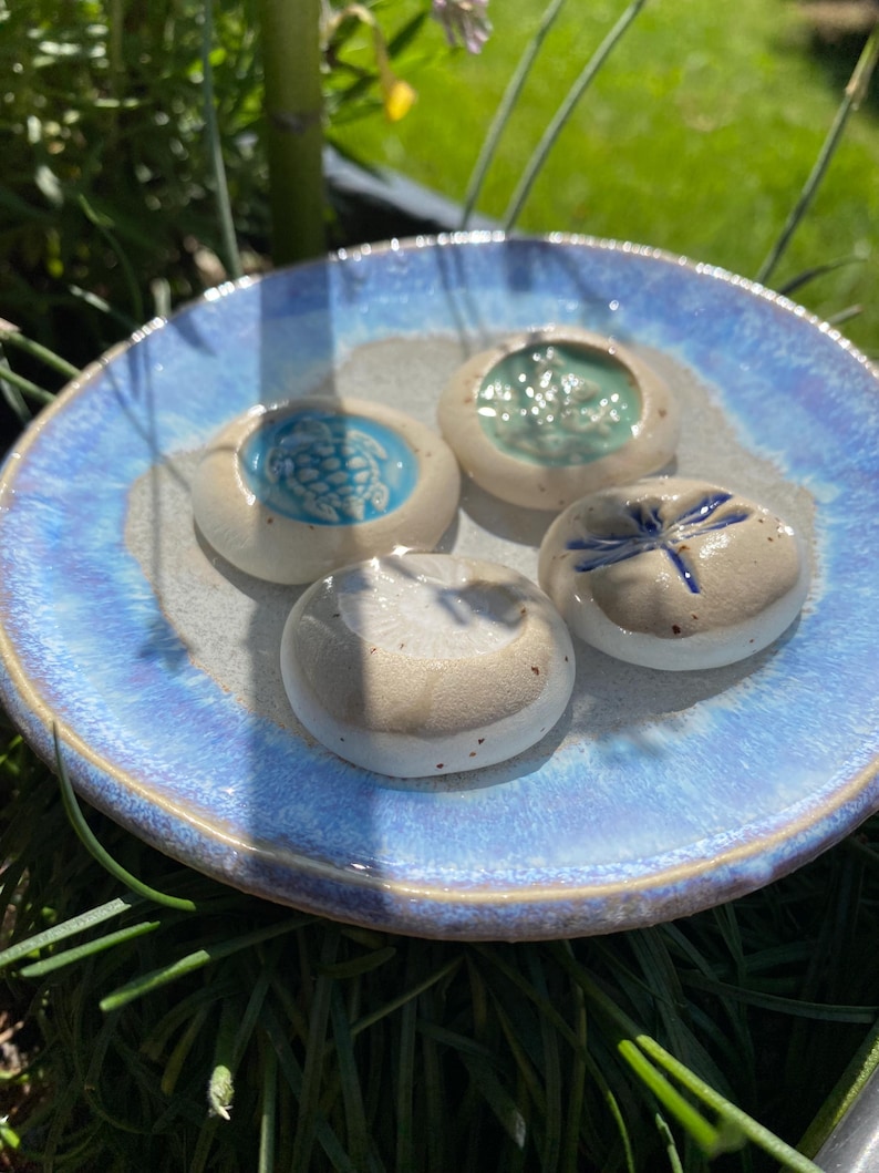 May include: A light blue ceramic dish with a textured rim holds four small, round, ceramic pieces. Each piece has a different design: a turtle, a dragonfly, and two with abstract patterns. The dish is set on green grass.