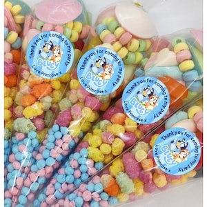 Adesivi personalizzati per compleanno Bluey / Decorazioni per compleanno / Adesivi Bluey