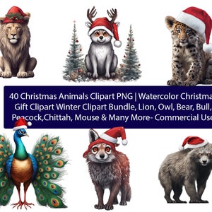 40 Weihnachtstiere Clipart PNG | Aquarell Weihnachten Geschenk Clipart Winter Clipart Bundle, Löwe, Eule, Bär, Stier, Pfau, Chittah, Maus & mehr