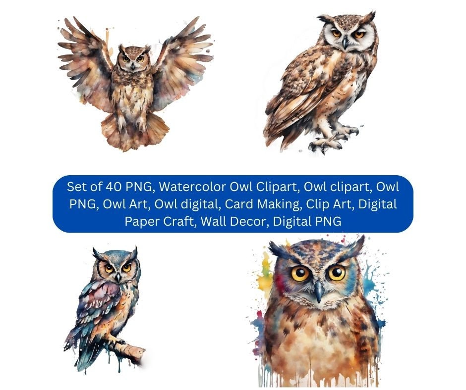 40 Owl Clipart Watercolor Clipart, PNG, Owl Art, Woodland. Owl Commercial Use, Digital Download, Car