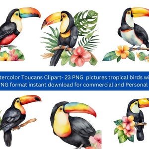 Acquerello Tucani Clipart - uccelli tropicali con ibisco e foglie in formato PNG 23 download istantaneo per uso personale e commerciale