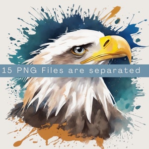 Aquarell Weißkopfseeadler Clipart - Alpenwald Adler 15 Dateien im PNG-Format sofort-Download für den kommerziellen und persönlichen Gebrauch