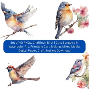 40 Cute Songbird Clipart, PNG, Chaffinch Bird, Commercial Use, Digital Download, Watercolor Clipart, Card Making, Digital Paper Craft, Bird