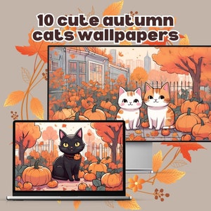 Op de afbeelding: Een laptopscherm met een digitale illustratie van een zwarte kat met oranje ogen die op een pad zit, omringd door oranje pompoenen en herfstbladeren. De tekst "10 cute autumn cats wallpapers" wordt bovenaan de afbeelding weergegeven.