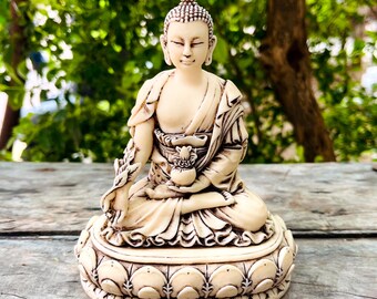 May include: A cream-colored Buddha statue in a seated meditation pose. The statue has intricate details, including a detailed lotus base and draped robes. The background is blurred, with green foliage and a wooden surface.