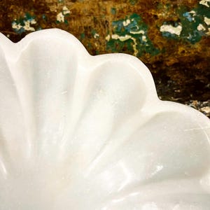 May include: Close-up of a white, scalloped-edge dish. The dish has a smooth, glossy surface and a petal-like design. The background is a textured mix of brown, green, and blue hues.