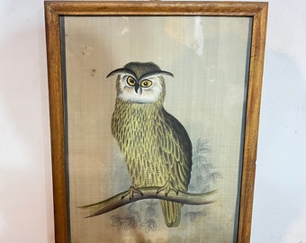 Placa de pared antigua del gran búho cornudo, arte de impresión de búho enmarcado de los años 70, colgante de pared de búho, pintado a mano, búho de vida silvestre, pinturas de lienzo, regalo para amantes de las aves
