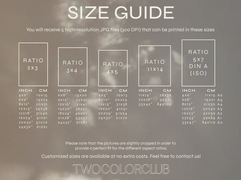 May include: A size guide for printing high-resolution JPG files at 300 DPI. The guide shows different aspect ratios and corresponding inch and centimeter measurements for each ratio. The ratios include 2x3, 3x4, 4x5, 11x14, and 5x7 (DIN A).