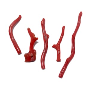 Red Coral Stick Raw Italian Coral Branch Making for Jewelry