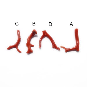 Italian Red Coral Branch Stick: Polished Gemstone Cabochon