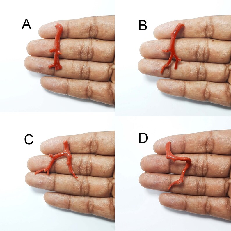 Pu&ograve; includere: L'immagine mostra quattro pezzi di corallo rosso, etichettati A, B, C e D. Ogni pezzo &egrave; tenuto in una mano, con il ramo di corallo rivolto verso la fotocamera.