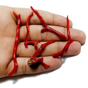 Red Coral 100% Natural Italian Red Coral Gemstone Loose Branch Polished AAA+ Quality Coral Stick Gemstones Red Coral Well Polished Rough
