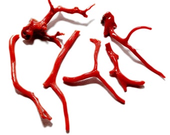 Natural Coral Branch Stick – Loose Gemstone Beads for Necklace Design