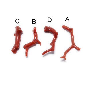 Natural Italian Red Coral Branch: Polished Gemstone Stick